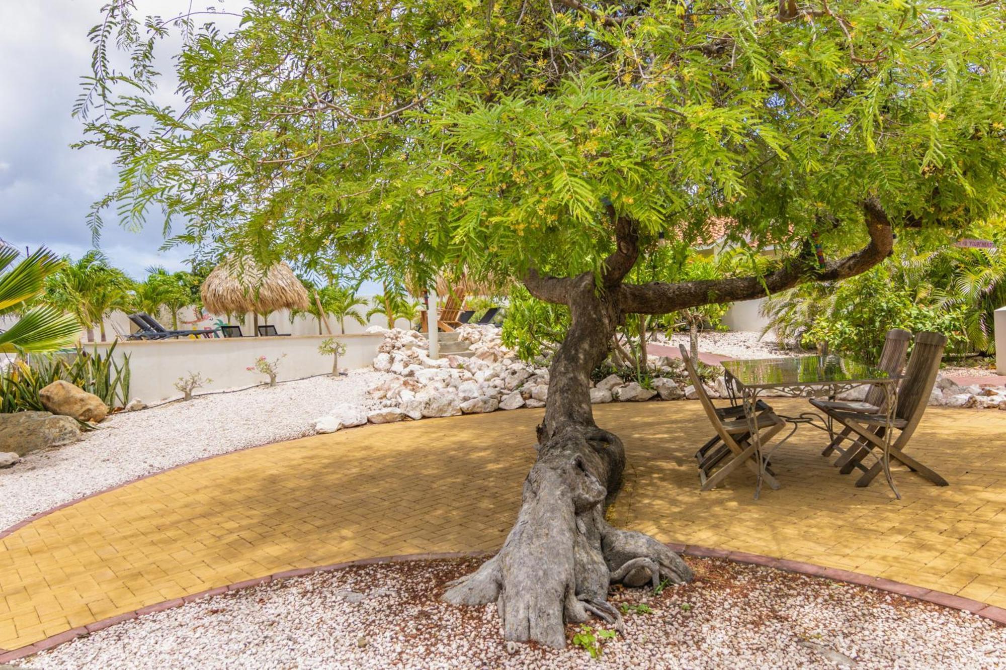 וילמסטאד Abc Lodges Curacao מראה חיצוני תמונה