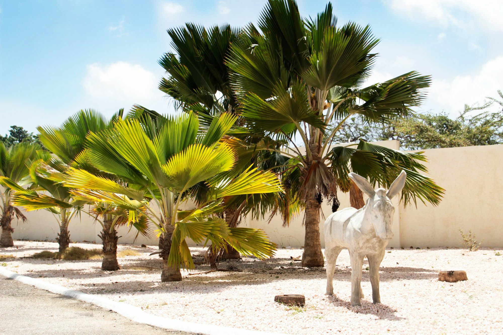וילמסטאד Abc Lodges Curacao מראה חיצוני תמונה